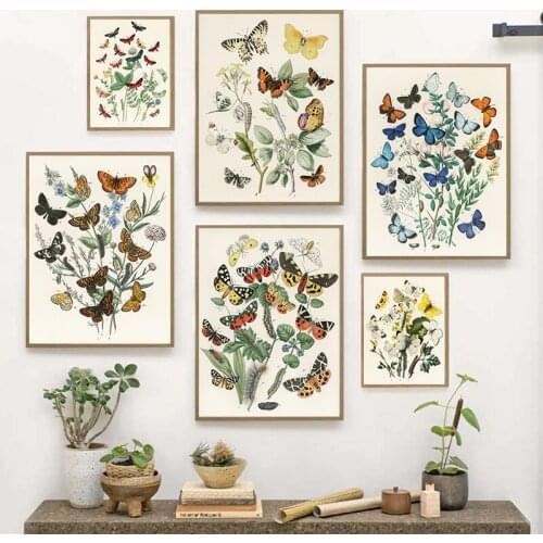 Vintage Butterfly Posters and Prints Lepidopterist Gifts Insect Butterflies Art Canvas Painting Wall Pictures Living Room Decor