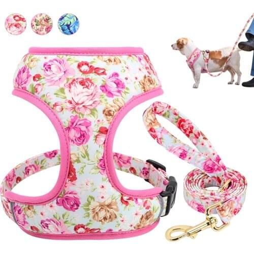 Cute Printed Dog Harness Leash Set Soft Mesh Pet Puppy Cat Harness Adjustable Walking Lead For Small Medium Dogs Cats Chihuahua