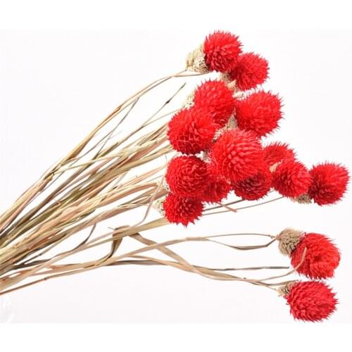 15pcs Purple natural flower bouquets dried bouquets wild strawberry fruit bouquets