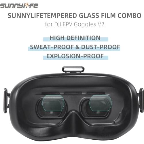 DannyBoss FPV Goggles