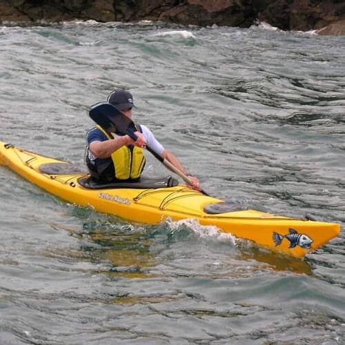 Pegatina De Esqueleto De Pescado Aterrador Kayak Coche Camión Impermeable Adhesivo Elegante