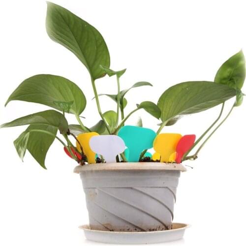 100pcs Garden Tags Markers Nursery Plastic Plant Label Garden Label Garden Ornaments jardin Tyrkys