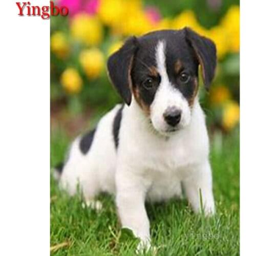 5d Diamond Painting jack russel terrier Full square round drill cross stitch kit Handicraft Rhinestone Embroidery Mosaic dog