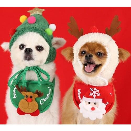 EYESKEY Hats For Dogs