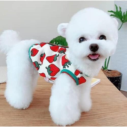 Cute Breathable Pet Clothes Cartoon Strawberry Pattern Cosplay Warm Pet Dog Vest Outfit for Casual Summer Dogs Clothes Supplies