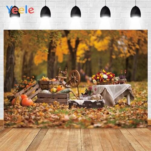 Yeele Natural Scenery Backgrounds For PhotographyCountry Pumpkin Thanksgiving Baby Newborn Portrait Photo Backdrop Photocall