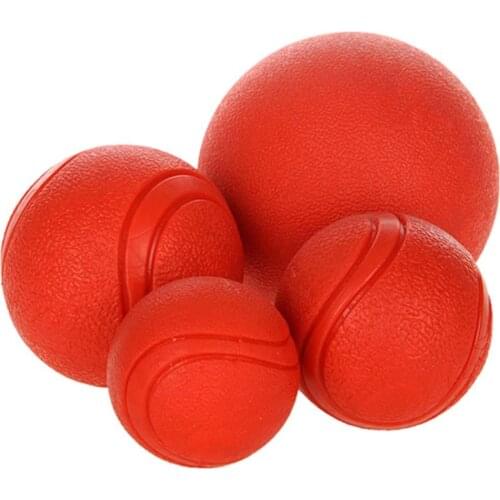 HobbyLane Products For Dogs