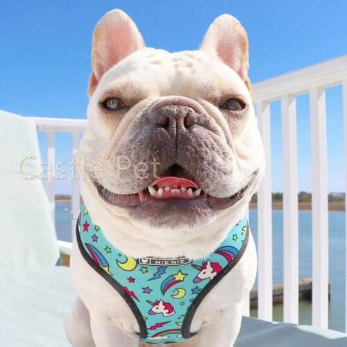 Summer New Dog Harness Adorable Printed Unicorn Frenchie Reversible Puppy Harness Leash Set Vest Walking Training Chihuahua Pug