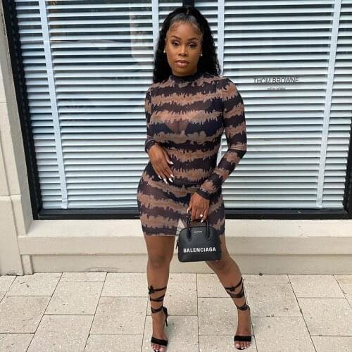 Bodycon Dress Women Long Sleves Print Fashion Mesh Club Outfits Summer Beachwear Sexy Party Dresses Vestido