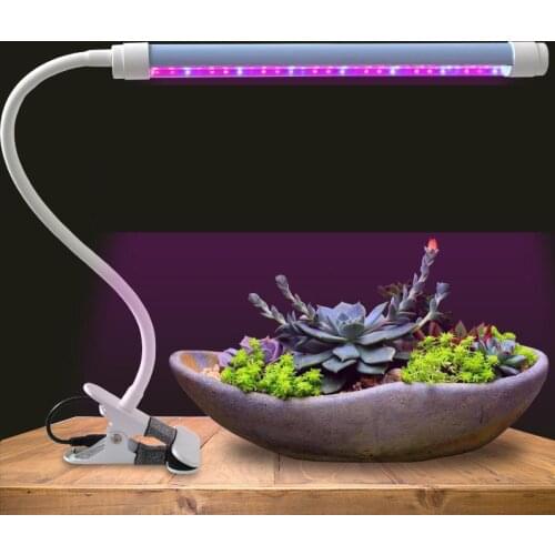 TEUMI Plant Lamps