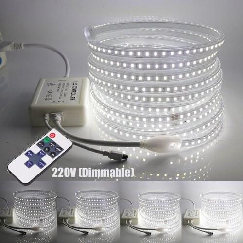 220V LED Strip 2835 High Safety High Brightness Flexible LED Tape lights 120Leds/m Waterproof Lighting With Remote Control 1-20M