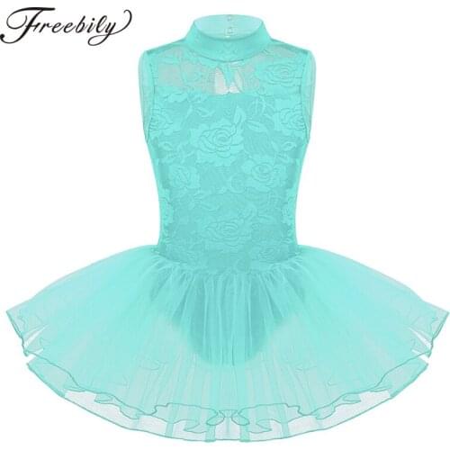 Kids Girls Sleeveless Mock Neck Floral Lace Keyhole Back with Zipper Closure Ballet Dance Gymnastics Leotard Mesh Tutu Dress