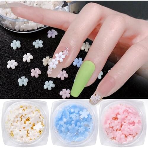 Discolor Flowers Nail Art Decorations Mixed Size Caviar Beads Five Petal Flower Jewelry Manicure 3D Charms Accessories LA1939