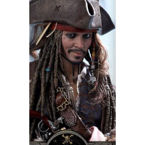 Hot Toys DX15 1/6 Scale Captain Pirate Action Figure