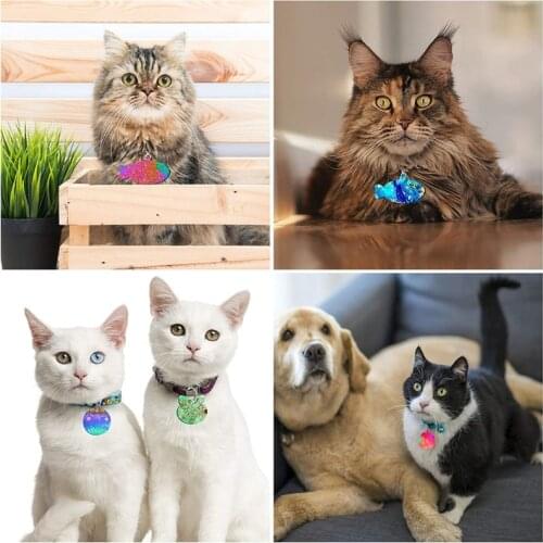 Keychain Epoxy Resin Mold Pet Dogs Tag Silicone Mould DIY Crafts Jewelry Earrings Pendant Decorations Casting Tool