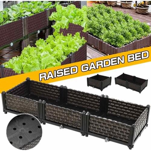 Семена Meigar China At AliExpress