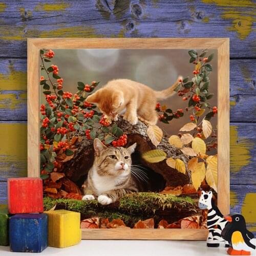 5D DIY Diamond Painting Cat Full Square Diamond Embroidery Animal Picture Of Rhinestone Home Decor