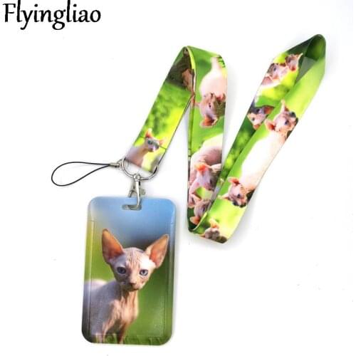 Sphynx Hairless Cat Anime Lanyard Badge Holder ID Card Lanyards Mobile Phone Rope Key Lanyard Neck Straps Keychain Key Ring
