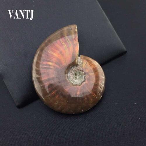 VANTJ High Quality Specimen Conch Ammolite Gift Pendant Decor Natural Gemstone Jewelry Colorful Iridescent Necklace Unisex