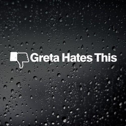 Black/Silver Greta Hates This Text Car Sticker Simple Text Car Body Window Decorative Decal S505
