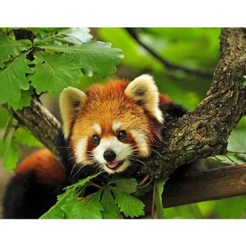 Handicraft Diamond Embroidery Red Panda Forest DIY 5D Diamond Painting mosaic 3d Cross Stitch Needleworks Wall Decor JS3036