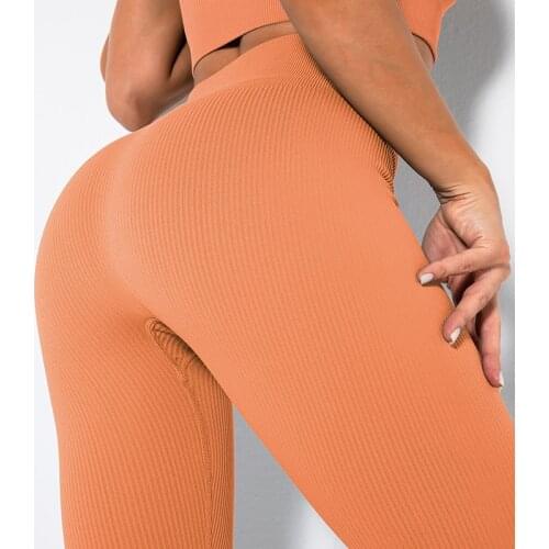 ASHEYWR Women Yoga Pants Seamless Fitness Quick Dry Running Sport Cycling Leggings Joggings Gym Trainning Push Up Leggings Femme