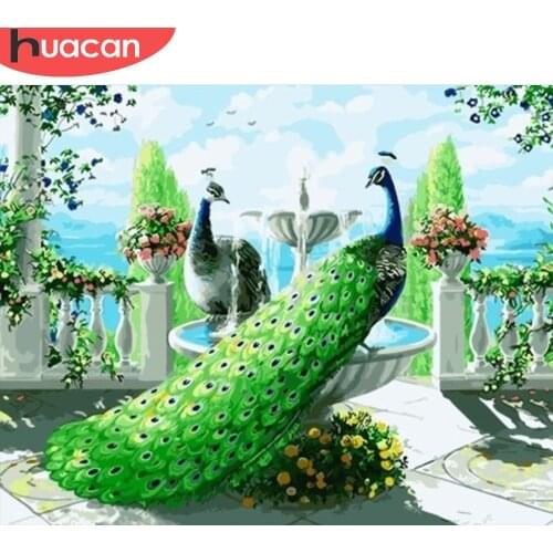 HUACAN Painting By Numbers Peacock Animal Drawing On Canvas HandPainted Painting Art Gift DIY Pictures By Number Kits Home Decor