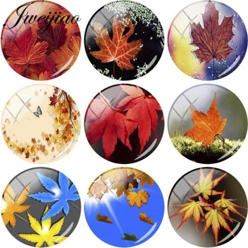 JWEIJIAO Yellow Red Maple leaf Art Picture DIY Glass Cabochon Dome Autumn leaves For Keychain Necklace Earring Accesories