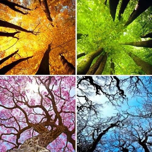 DIY 5D Diamond Painting Landscape Tree Cross Stitch Kit Full Drill Embroidery Mosaic Art Picture of Rhinestones New Arrival