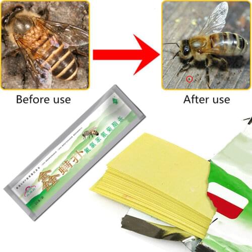 Professional Bee Acaricide Beekeeping Medicine Bee Mite Killer Through-core Mite Flutter Control Beekeeping Farm Medicines
