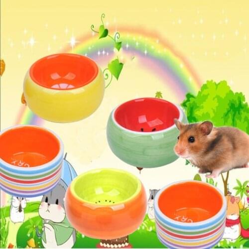 Hamster Food Bowl Fruit Color Ceramics Bowl for Squirrel Ferret Guinea Pig Small Animal Accessories Pet Feeding Container