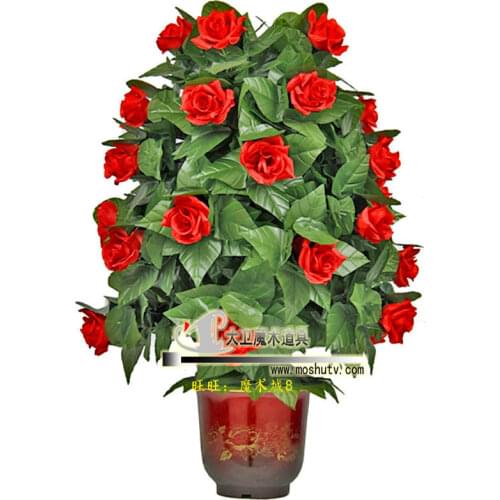 Blooming Rose Bush - Remote Control - 10/20/30 Flowers,magic tricks,mentalism,comedy,stage magic props,magic accessories