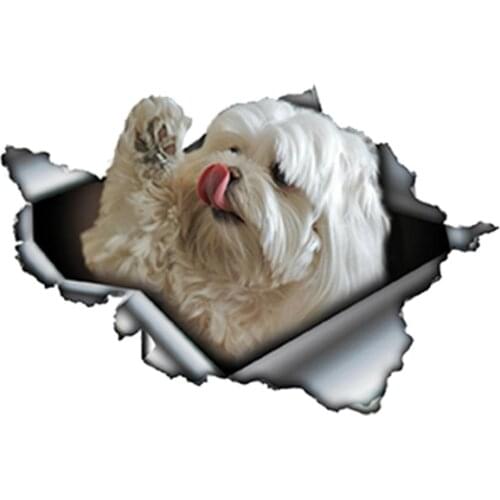 Maltese Torn Pet Dog Car Sticker Decoration Waterproof Decal Laptop Truck Motorcycle Auto Accessories PVC,13cm*8cm