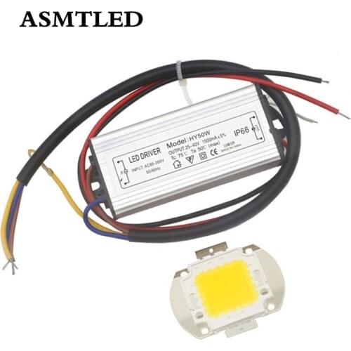 Real Full Watt 10W 20W 30W 50W 100W White RGB High Power COB LED lamp Chips Bulb + LED Driver For DIY Floodlight Spot light Lawn