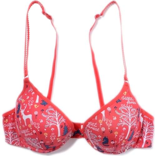 100% cotton young girl bra christmas underwear red small size mm push up bra