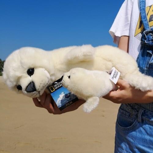 National Geographic Toys And Goods For Creativity