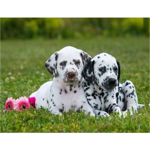 5D Diy Diamond Painting Dalmatian dog Full Square Round Diamond mosaic Needlework Cross Stitch Diamond Embroidery