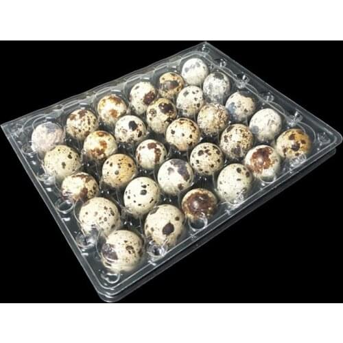 500pcs/lot 30 Holes Quail Egg Containers Plastic Quail Egg Boxes Wholesale SN2135