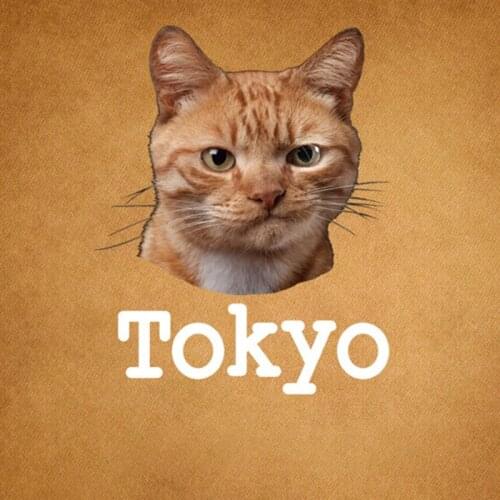 Letter Tokyo Cat Heat Transfer Vinyl Washable Stickers for Kids Clothing DIY T-shirt Applique Iron-on Transfers Thermal Press