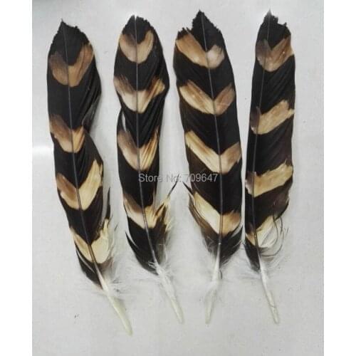 10Pcs/Lot! Wedding Decorative 40-50cm Long Pheasant Pattern Feathers for Diy Carnival Costume Mask Headdress,Fly Tying Material
