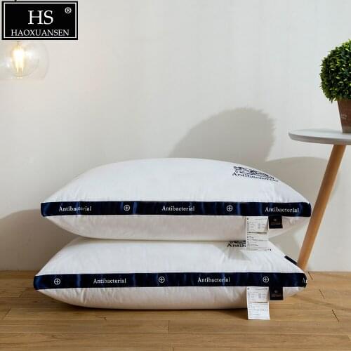 Nordic Style Embroidery Design White Pillow 2PCS 100% Polyester 550 Fill Power 40S Fabric 3 kg Bedding Sets My Pillow 2019