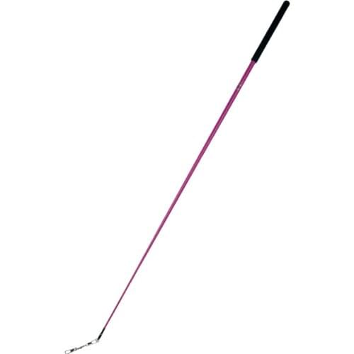 Different color Gymnastics Rhythmic sticks with rose red children