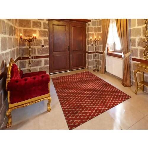 Chenille Carpet, Rug,Patterned Carpet,Chenille,Interior Design, Home Decoration, Decor,Carpet, Oriental Rug, Old Looking New Rug