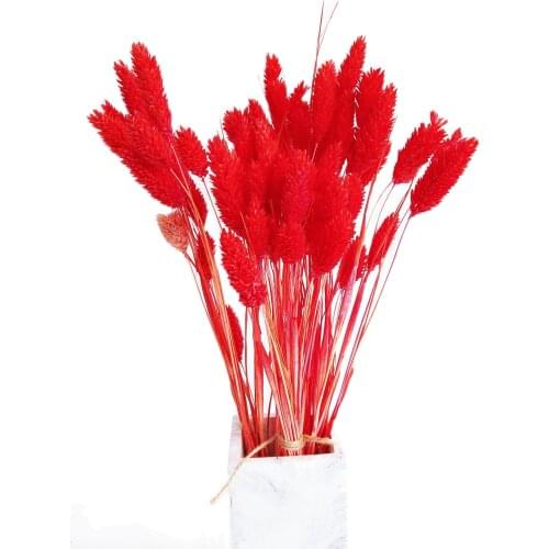 30pcs Dried Gem Grass Phalaris Flower Bouquets Weeding Home Decoration Eternal Flower Photography Props Dried Phalaris red