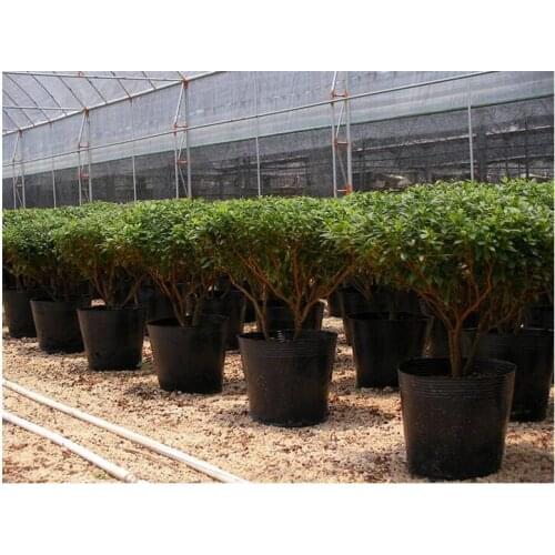 30pcs/lot,30*30cm,Nutritional bowl nursery bags,nutrition Cup nursery pots planting hole basin flowerpot trays