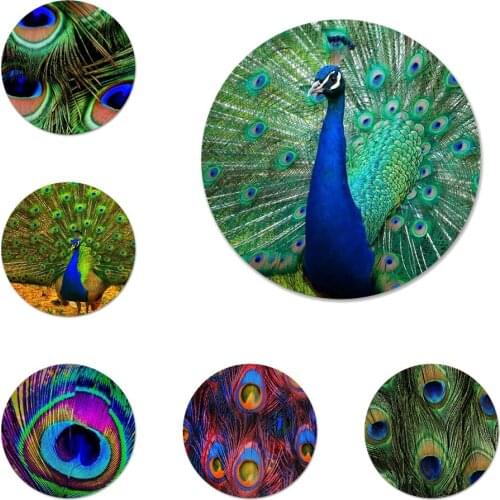 Animal peacock feather Badge Brooch Pin Accessories For Clothes Backpack Decoration gift