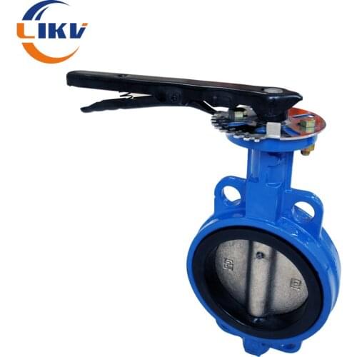 Worm Type PFA Disc SS304 Butterfly Valve