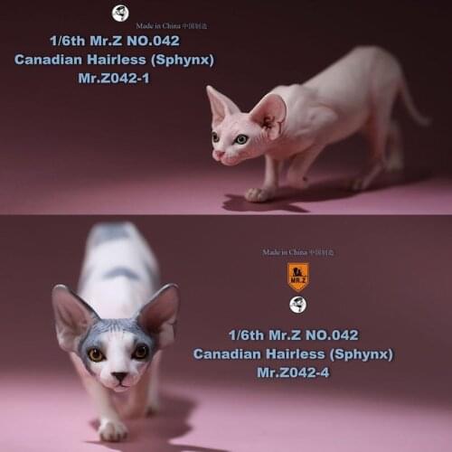 1/6 Canadian No.040-BS Hairless Cat Sphynx Simulation Model Toy Animal Static Model for 12' Action Figure Accessories Show