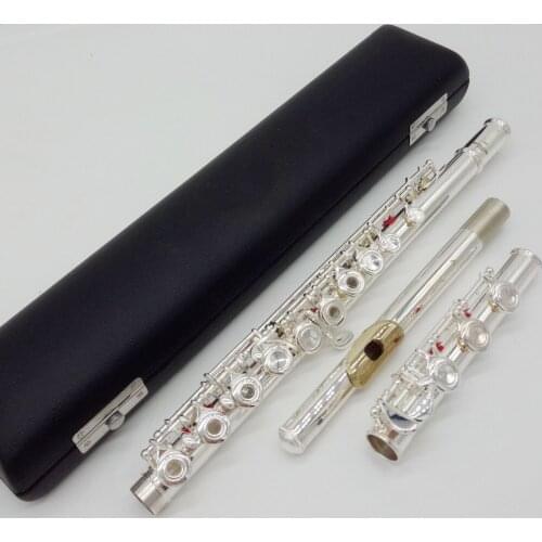 DeXin Flute 400 Series Silver Plated Flute Gold Plated Lip Plate Flutes 411 412 421 422 461 462 471 472 481 482 B Leg Open Close