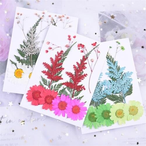 Traumdeutung Pressed Flowers Dry Flower Dried DIY mini Christmas flowers soap purple flowers flores secas